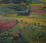 Tuscan Fields